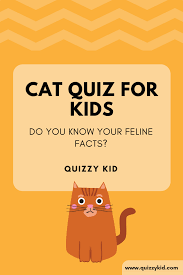 Only true fans will be able to answer all 50 halloween trivia questions correctly. Cat Quiz For Kids Quizzy Kid
