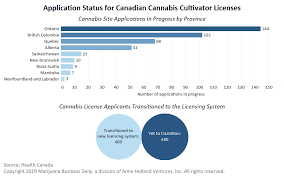 Half Of Canada S Cannabis Cultivation Applicants Stuck In Limbo