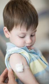 Annual Financial Report 2014–15