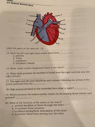 If you recently experienced a cardiac event or surgery but have not participated in a cardiac rehab program, it's time to find out why. Fastest Arteries Of The Heart Quiz