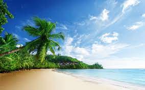 Ocean Scenery Nature Scenery Sea Beach Sky Clouds Palm Trees Ocean Tropical Beach Wallpaper Beach Scenery Beach Landscape