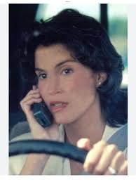 I was watching, Modern Family, again and I heard this familiar, flinty  voice from the kitchen.