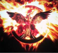 The Mockingjay Symbol I Don T Remember This From The Books But It Is At The End Of Catching Fire Hunger Games Hunger Games Mockingjay Hunger Games Problems