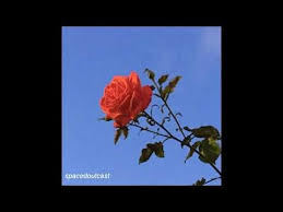 Watch the video for la vie en rose from yves montand's hits for free, and see the artwork, lyrics and similar artists. ØªØ±Ø¬Ù…Ø© La Vie En Rose