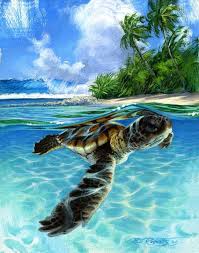 Baby Sea Turtle Fine Art Print Island Collection By Phil Etsy Turtle Painting Sea Turtle Art Surf Art