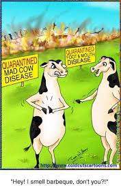 Mad Cow Disease Burnings Cartoon Animals Funny Animals Animals