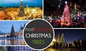 Oh, the mighty christmas tree. Top 20 Most Beautiful Christmas Trees In The World