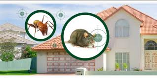 Tickets on sale soon at the muse theatre! Mouse In The House Deboer Pest Control Shares 4 Tips To Keep Mice Away Deboer Pest Control Onalaska Nearsay