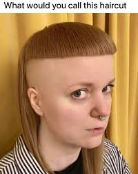 What would you call this haircut