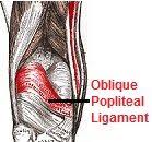 Pin On Knee