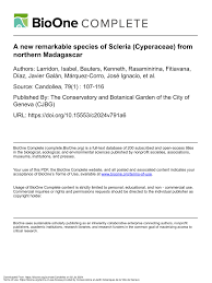 Image result for Scleria bambariensis