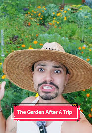 Peeling a #wet #luffa from the #garden! So much easier 😅🌿✨