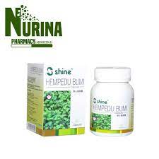 Hempedu bumi is a medicinal plant that grows in india, china and south east asia. Shine Hempedu Bumi Capsules 60 S Shopee Malaysia