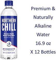 Northern Chill, 16.9oz, 12 pack, Naturally Alkaline Mineral Spring Water,  Naturally Filtered Minerals & Electrolytes, BPA Free PET Bottles, This is  America's Water : Amazon.in: Grocery & Gourmet Foods