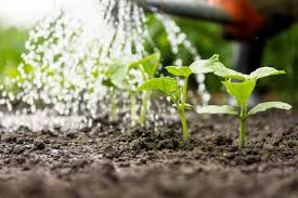 It already affects every continent and around 2.8 billion people around the world at least one month out of every year. World Water Day Strategies To Combat Agricultural Water Crisis