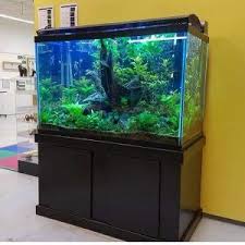 ♥ kursus cetak acrylic model lentur & model plat / kaku untuk membuat aneka macam : 26 Model Aquarium Ikan Hias Minimalis Terbaru 2021 Dekor Rumah Perhiasan Minimalis Meja Akuarium Aquarium