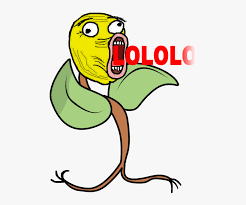Explore and share the latest png pictures, gifs, memes, images, and photos on imgur. Lol Meme Gif Lol Face Hd Png Download Transparent Png Image Pngitem