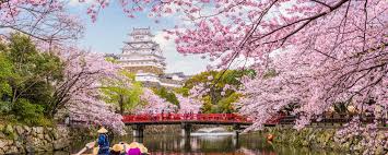 Everything about modern and traditional japan with emphasis on travel and living related information. Where And When To See Japan S Cherry Blossom In 2021 Times Expert Traveller
