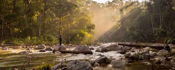 Depart for kampung tahan jetty from kuala lumpur. Rundreise Taman Negara Nationalpark Ab Kuala Lumpur Tourasia Reise Angebot