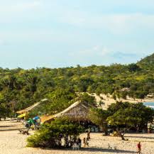 También se la conoce como el la palabra ecuador proviene del latín aequator cuyo significado es igualador. Bordeando La Linea Del Ecuador Visit Brasil