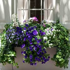 Window flower box overflowing with red and pink flowers. Window Box Flowers For Shady Spots