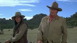 The Proud and Damned (1972) — The Movie Database (TMDB)