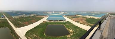 Sous statut domanial, géré par. La Chine Construit La Plus Grande Ferme Du Monde 9 1 Millions D Hectares