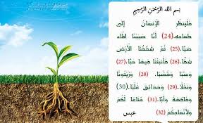 الماء وجعلنا من الماء كل شيء حي Posts Facebook