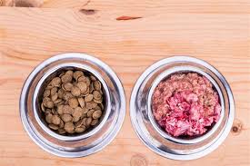 It is known that female dogs are more susceptible to diabetes than males because of changes in their hormones. Best Diabetic Dog Food Pet Ponder