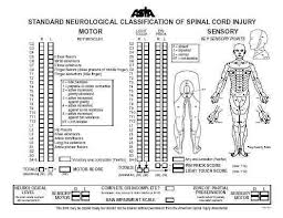 vertebral body compression fractures