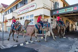 Although traditionally overshadowed by horse racing in that region—the peninsula is home to the arabian females are the preferred mount and are raced more often. Tickets Info Tara Festival Of Culture Camel Races