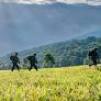 Ejército confirma combates contra disidencias de 'Mordisco' en Silvia, Cauca, y niega supuesto ataque contra comunidades indígenas