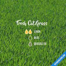 Pin On Essential Oils