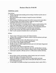 90 Day Business Plan Template For Interview Business Plan Template 90 Day Plan Business Plan Example