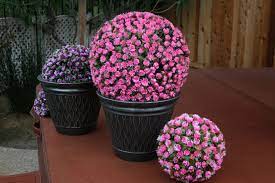 Top selected products and reviews. Floral Balls Ask About Our Custom Offerings Artificial Plants Outdoor Artificial Boxwood Flower Ball