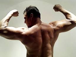 Salman Khan Workout And Diet Plan Workout Like Sultan Healthkart Blog According to salman khan's fitness trainer, he does some unbelievable stuff like 2,000 sit ups or 1,000 push ups a day.