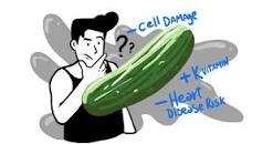 Is The Pickle Diet a Hoax? Or do Pickles Really Promote ...