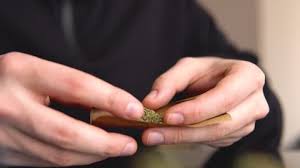 A person would simply mistaken a lit glass blunt for a cigarette. Man Rolling Marijuana Cannabis Blunt Stock Footage Video 100 Royalty Free 1025565791 Shutterstock