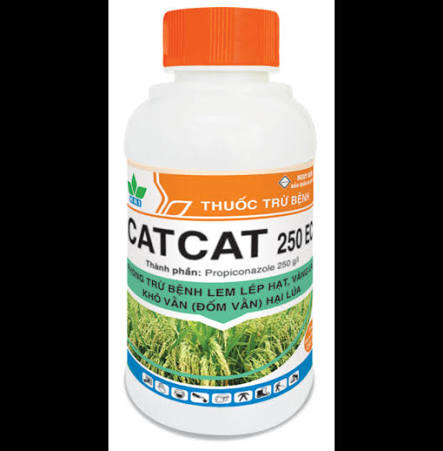 Catcat 250EC