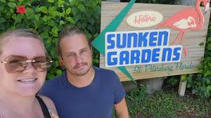 Giant royal palms in St Petersburg