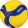 Volleyball price from www.amazon.com