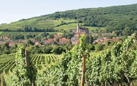 French Countryside Wine Region Bordeaux Rhone Valley Champagne Loire Valley Burgundy Chablis Provence Savoie Cognac Etc Rhone Wine Region Viognier