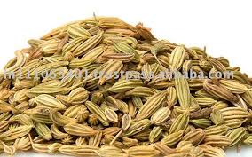 Global fennel powder importers and buyers. Fennel Seeds In Tamil Images