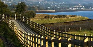 Carlingford Loop Walk