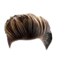 Man Hair Wig Png Mens Image Purepng Free Hair Png Photoshop Hair Mens Hairstyles
