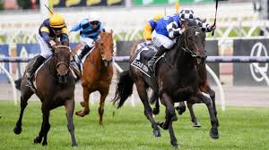 Melbourne Cup results 2022: Gold Trip winning horse, placings, jockey,  trainer