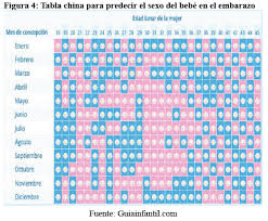 Aplicacion Informatica Para Predecir El Sexo Fetal Intrauterino Y Su Desarrollo