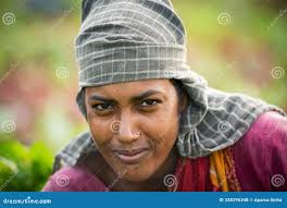 1,889 Indian Farmer Women Stock Photos
