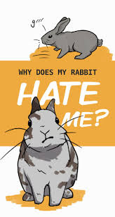 The first method for curing aggressive bunnies is one which should come as standard for bunny rabbit pet care (unless you are a breeder of course). Pin On Funny Bunny