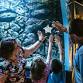 Waves Of Appreciation Weekend @CLEAquarium event image